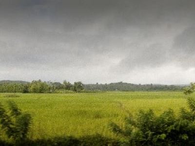 Ploile au facut ravagii la Matca, jud Galati