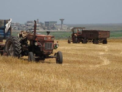 Termenul de „cooperativa agricola” inca ii sperie pe fermierii care nu au uitat de CAP-uri