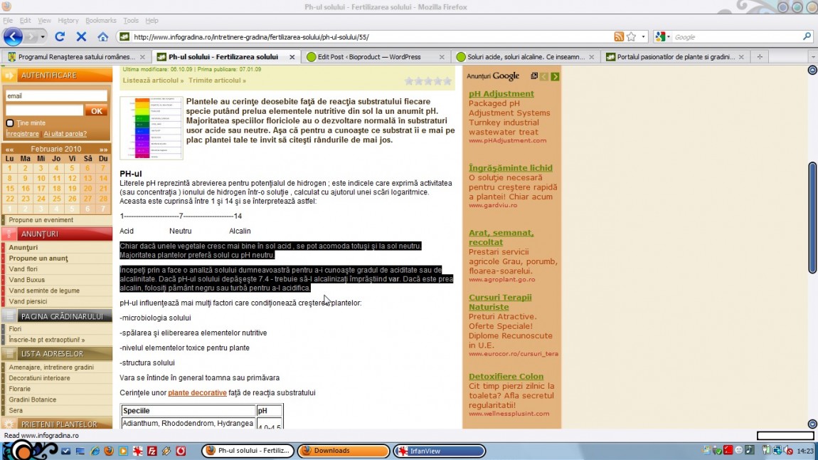 Cum sa spui lucruri traznite in horticultura. Infogradina.ro - ce se intampla atunci cand folosesti traducatori pentru a publica informatii de specialitate