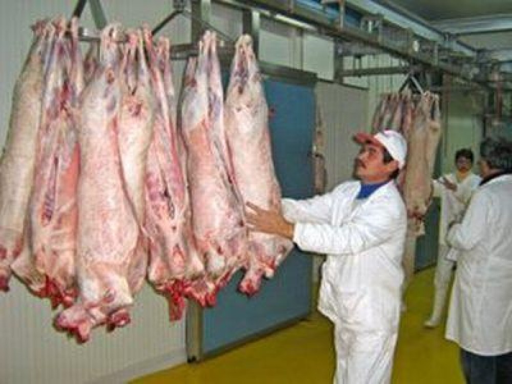 ANSVA in negocieri cu tarile arabe in vederea demararii exporturilor de carcase de ovine