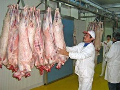 ANSVA in negocieri cu tarile arabe in vederea demararii exporturilor de carcase de ovine