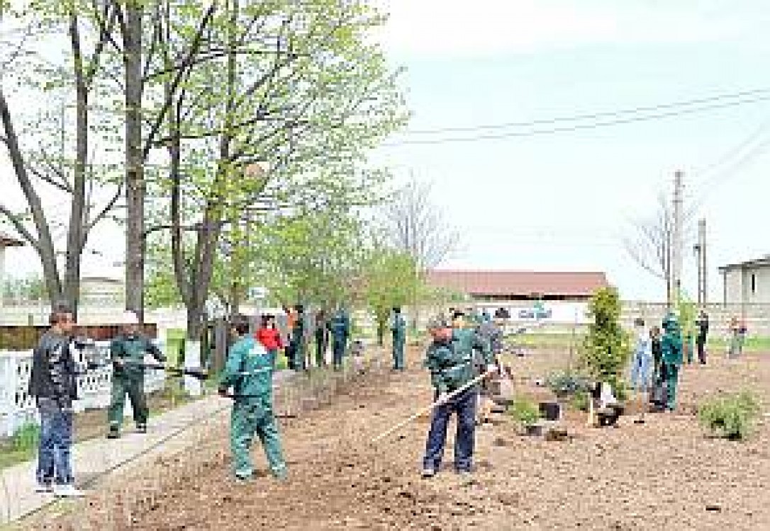 Gigantul în agricultură Cargill anunţă noi proiecte de responsabilitate socială