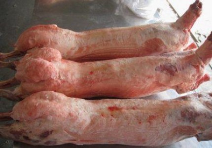 Seful DAJ Salaj considera ca in judet pretul mieilor nu va sari de 20 lei/kg