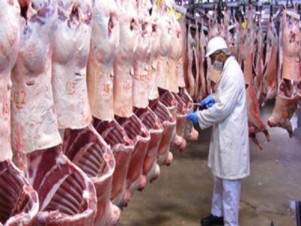 Sase milioane de euro pentru promovarea consumului de carne de oaie si capra