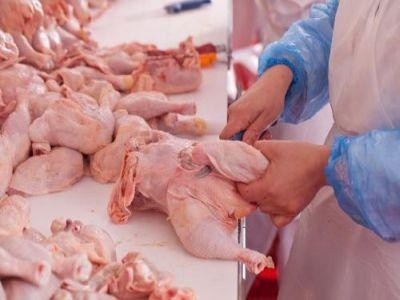 Ucraina a interzis importul de carne de pui provenita din judetul Prahova
