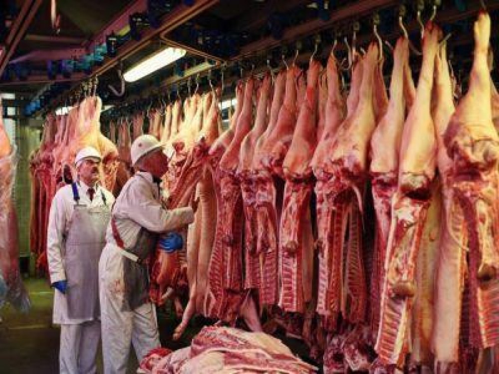 Exporturile de carne si produse din carne au depasit 380.5 milioane de euro anul trecut