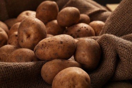 Ajutor de minimis de 200 euro/ha aprobat de Guvern