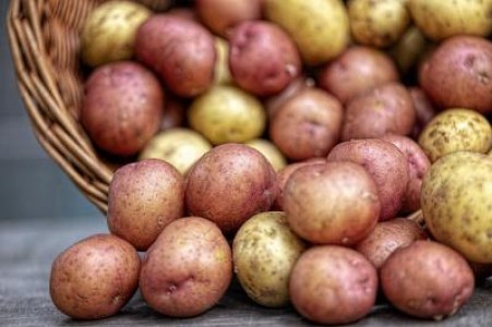 Oros, MADR: Cumparam cartofi cu zeci de milioane de euro, desi avem capacitatea de productie