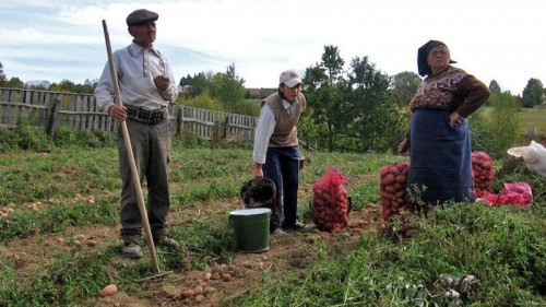 Ministrul de externe pledeaza pentru eliminarea diferentelor dintre subventiile acordate agricultorilor din statele membre