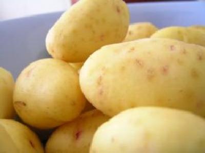 cultivatorii-romani-de-cartofi-nu-fac-fata-competitivitatii-de-pe-piata-europeana