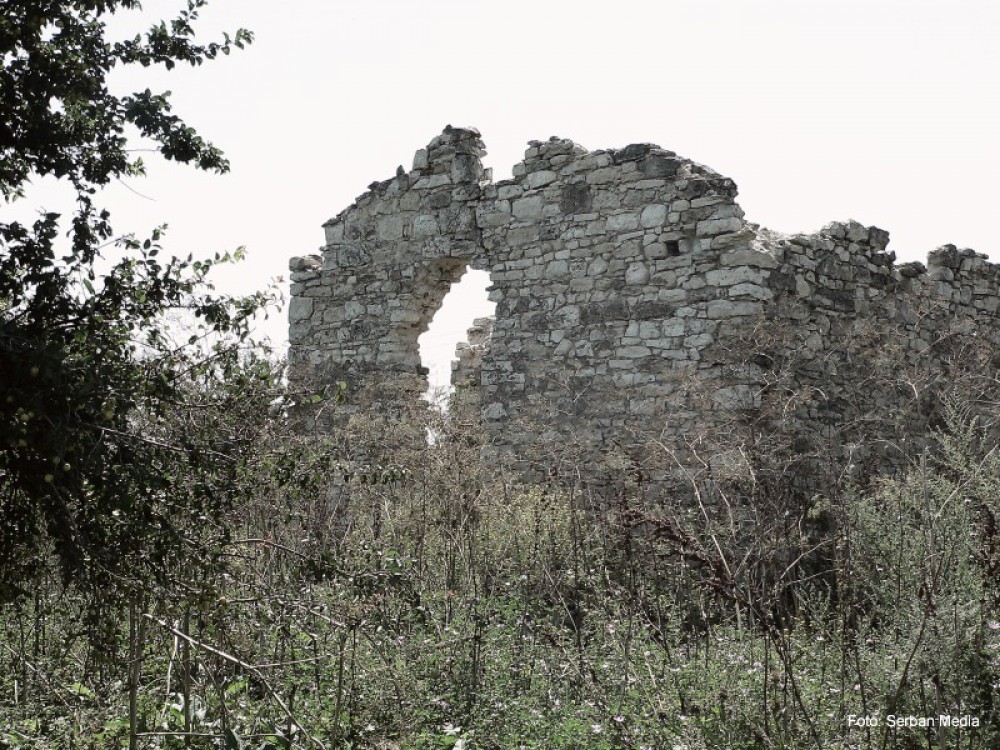 Jurnal de călătorie: Stipa penata - Hagieni, iulie 2010. În căutarea ierbii cu parul carunt.