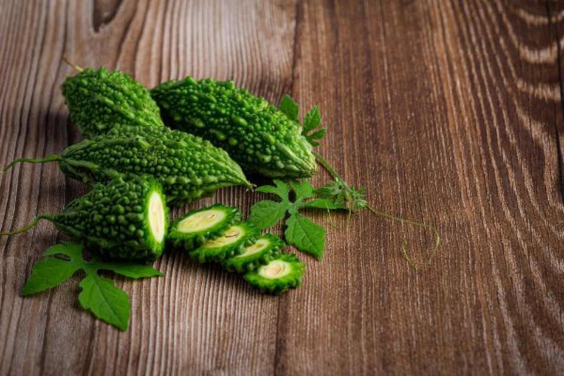 Cultura castravetelui anti-diabet. Conditii ce tin de umiditate