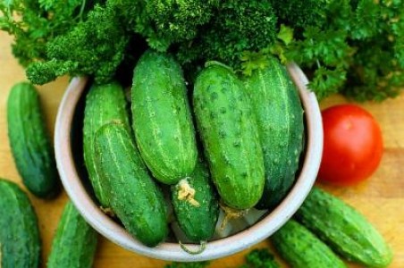 Bolile castravetilor - Mozaicul