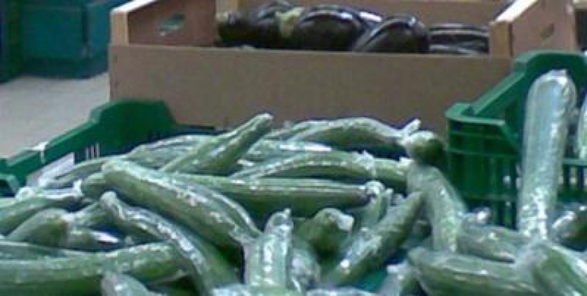 Hortifruct a anuntat ca retrage de pe piata o mie de tone de castraveti