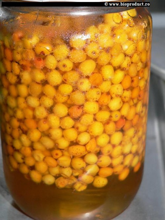 Şerbet de cătină albă