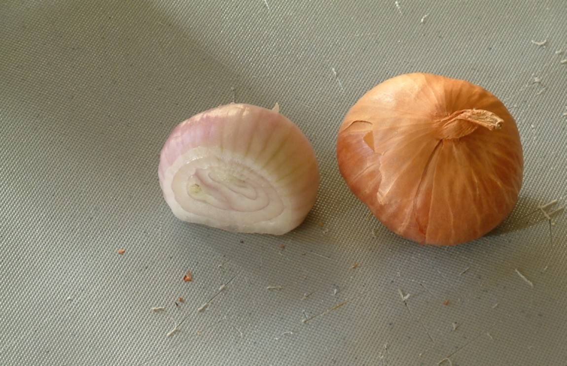 Moldovenii o numesc ''hajmă'', sârbii agimă, oltenii ii spun ''vlaşiţă'' - Ceapa eşalotă - Allium ascalonicum