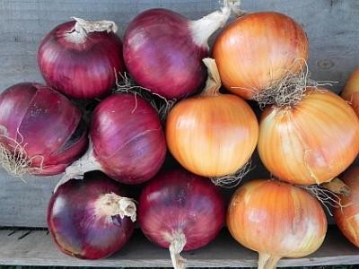 Statistici privind importul si exportul de produse agroalimentare, pentru anul 2011