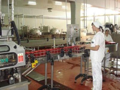 Cel mai mare depozit si centru de procesare a legumelor din Romania, infiintat cu fonduri PNDR