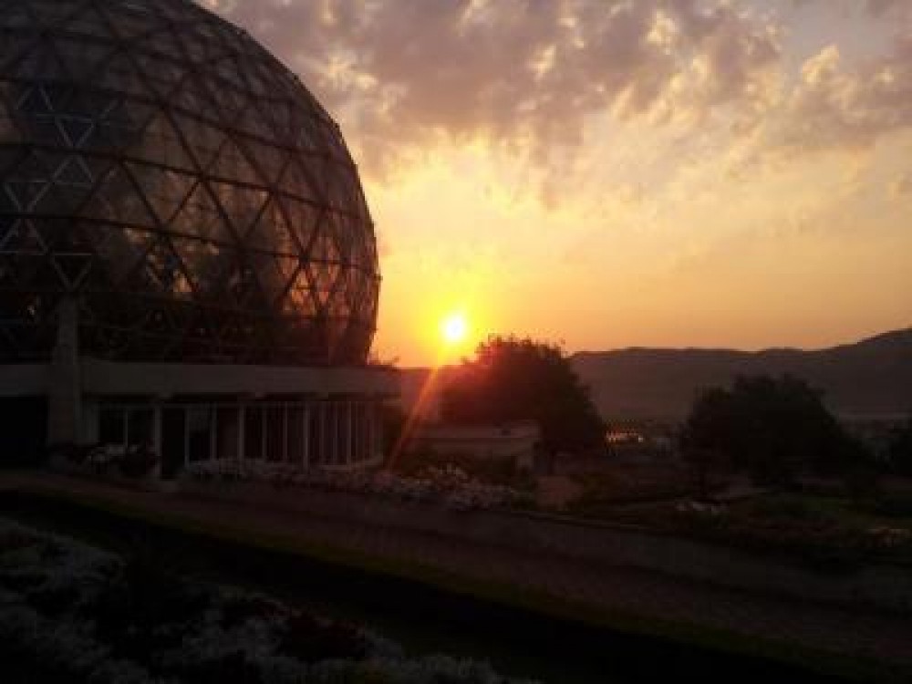 Soiurile traditionale de pomi fructiferi, in atentia cercetatorilor