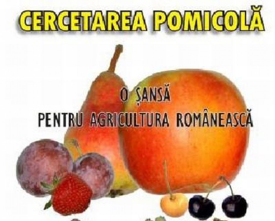 Cercetarea pomicola isi comunica in octombrie rezultatele, la ICDP Maracineni