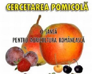 Cercetarea pomicola isi comunica in octombrie rezultatele, la ICDP Maracineni