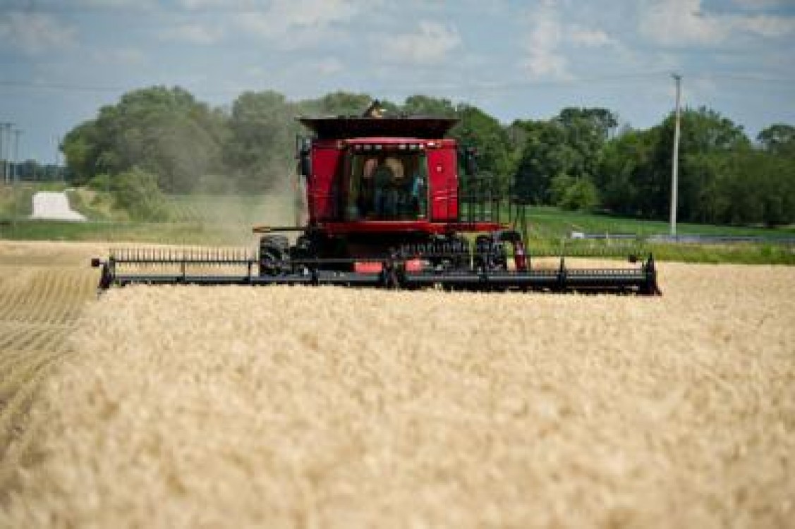 Seceta reduce productia de cereale in Uniunea Europeana