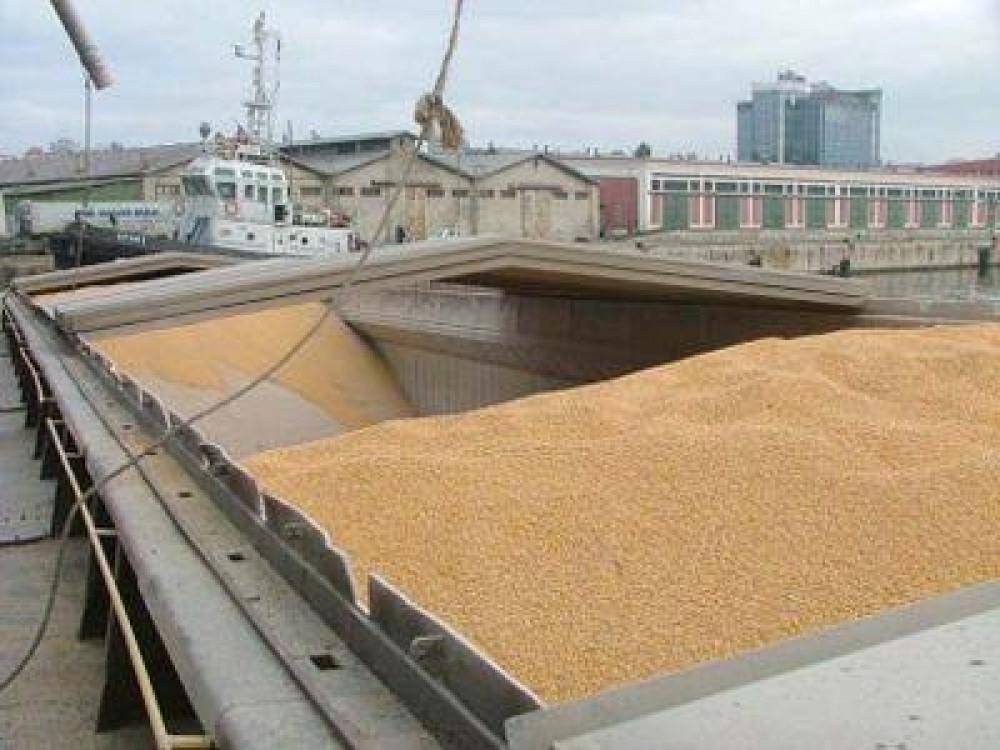 Traderii de cereale solicita autoritatilor sa se implice pentru deschiderea de noi piete de export