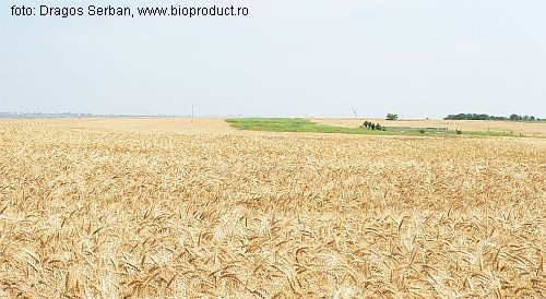 Bilantul subventiilor pe suprafata in anul 2010: 131 euro/ha pentru 1,2 milioane de fermieri