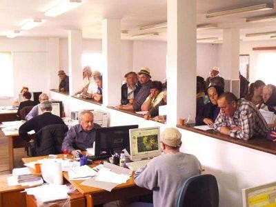 Cati fermieri au depus cereri pentru subventii in aceasta campanie