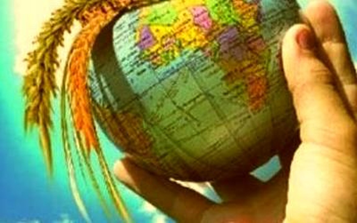 Cererea de produse alimentare va creste cu 60% in urmatorii 35 de ani