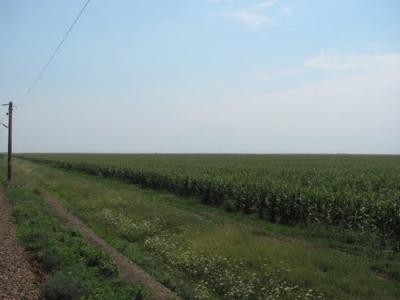 Subventia pe suprafata 2012: Aproape 22.000 de cereri de subventii in Teleorman, toti se intreaba cand se va plati subventia