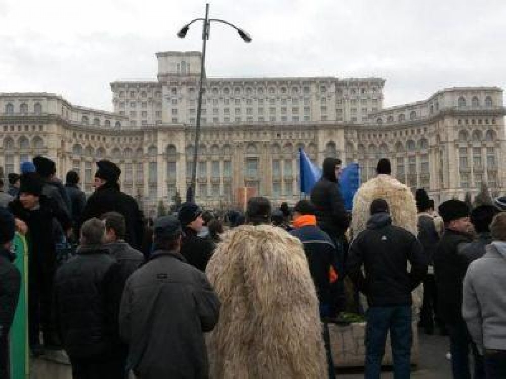 Oierii au dat o lectie despre cum trebuie sa lupti pentru a-ti apara drepturile