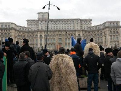 Crescatorii de ovine pun la cale noi proteste