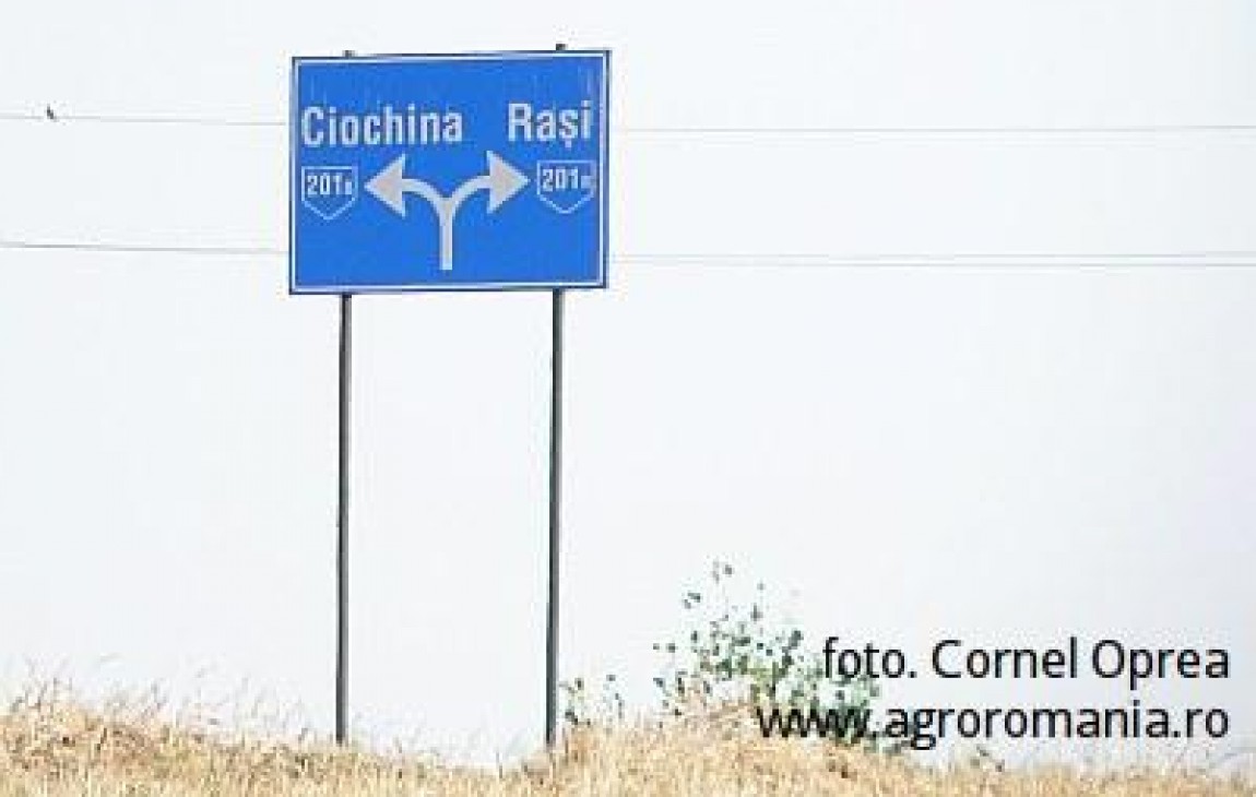 Bine ati revenit acasa, domnule Sitaru