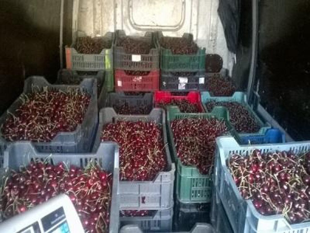 Cirese cu pesticide, retrase de la comercializare de inspectorii ANSVSA