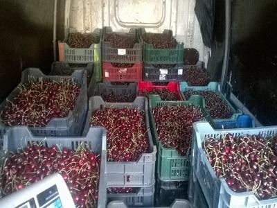 Cirese cu pesticide, retrase de la comercializare de inspectorii ANSVSA