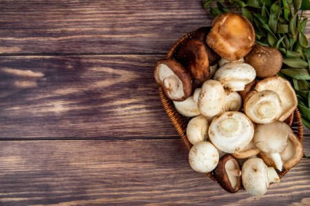 Ciuperci champignon. Prevenirea si combaterea atacului acarienilor