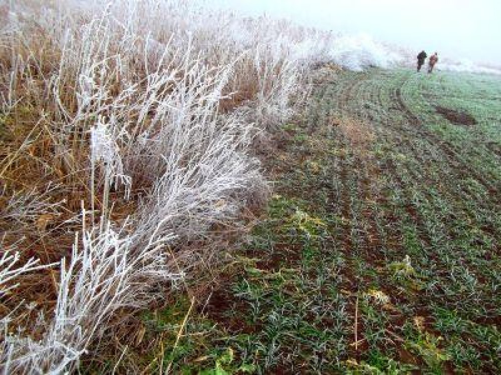 Buletin agrometeorologic pentru perioada 23-29 noiembrie