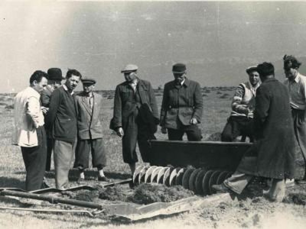 Muzeul Taranului Roman pregateste o expozitie despre colectivizarea agriculturii in Romania