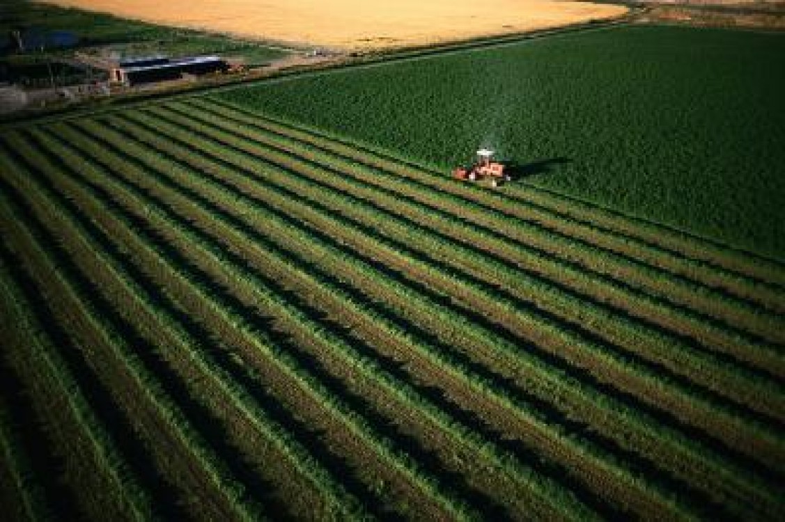 Ministrul Agriculturii: Elaborarea cadastrului rural va incepe in aceasta toamna