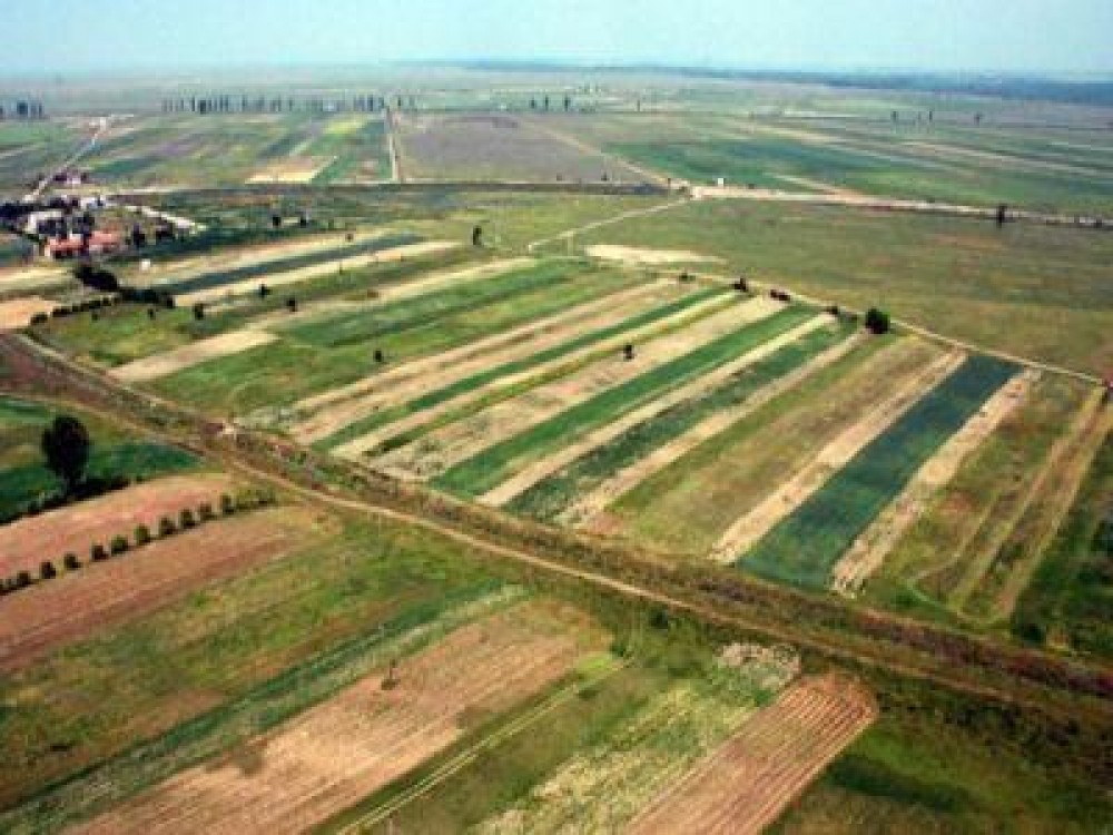 Plati stimulative in scopul comasarii terenurilor