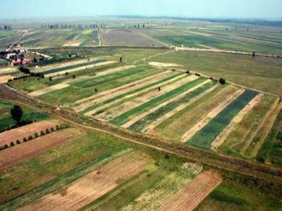 Plati stimulative in scopul comasarii terenurilor