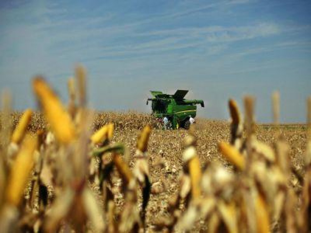 Agricultura devine o afacere tot mai profitabila