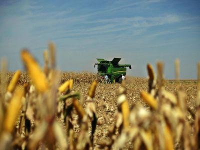 Agricultura devine o afacere tot mai profitabila