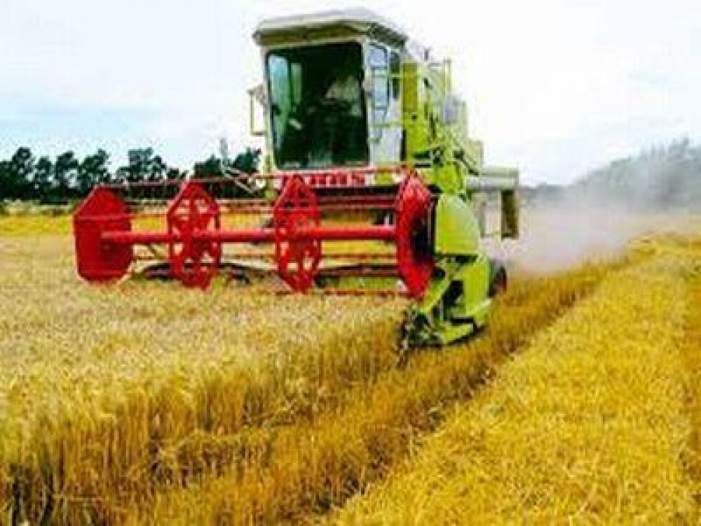 Camerele Agricole ar putea fi infiintate pana in vara