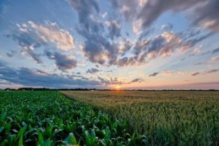 Ministerul Agriculturii lamureste problema certificatelor de depozit