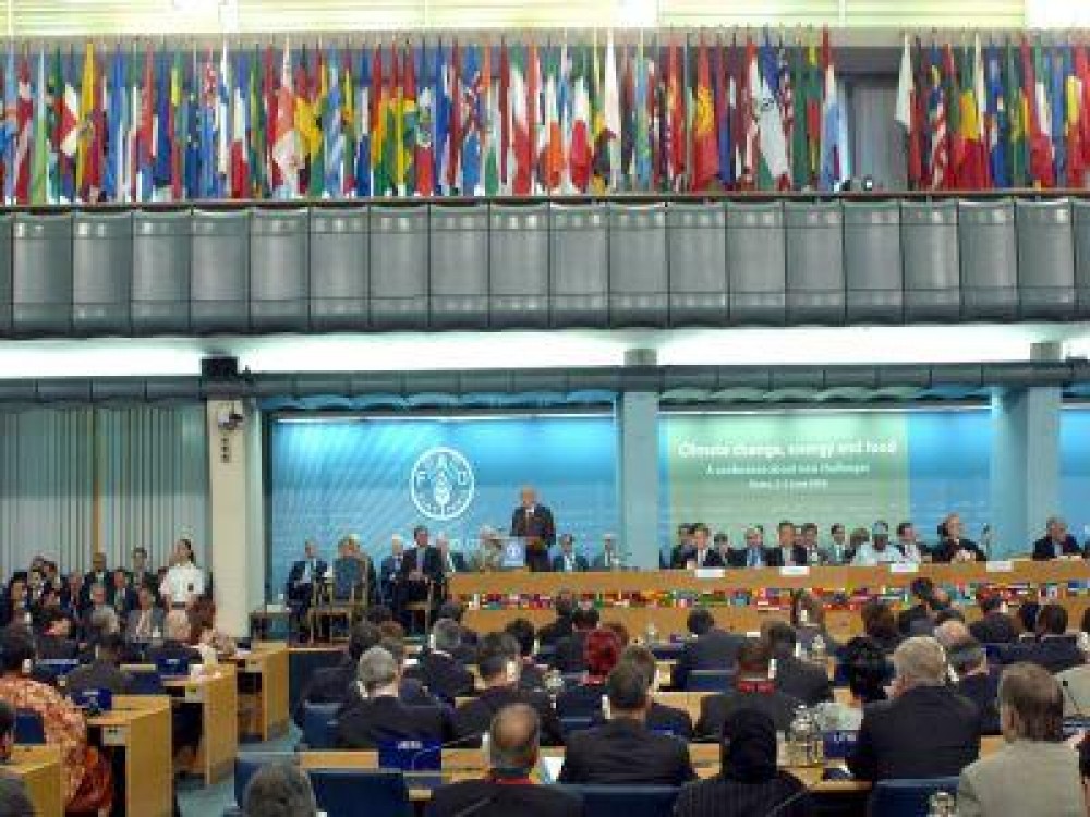 Bucurestiul este de azi gazda Conferintei Regionale pentru Europa a FAO