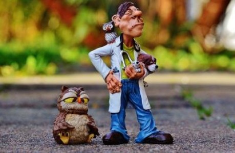 Se pregateste schimbarea legislatiei pentru cabinetele veterinare