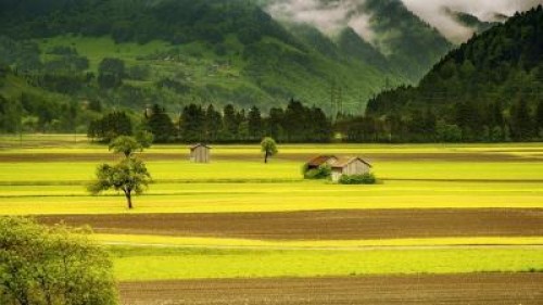 UE iti cere parerea pentru viziunea pe termen lung pentru zonele rurale