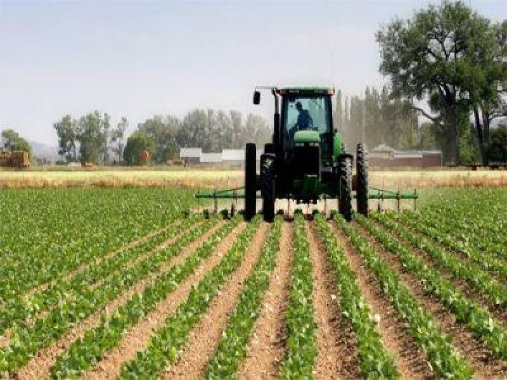 Cooperare romano-croata pentru implementarea proiectelor cu  fonduri europene pentru agricultura si dezvoltare rurala